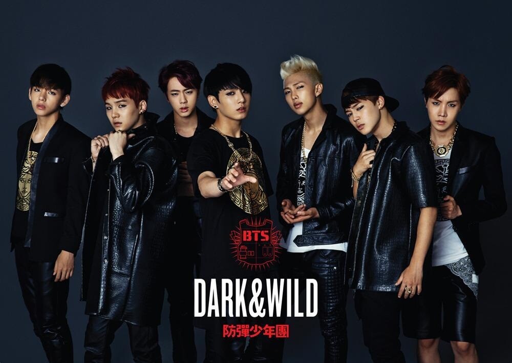 BTS-[DARK&WILD] 1st Album CD+120p PhotoBook+2p PhotoCard+Gift DARK