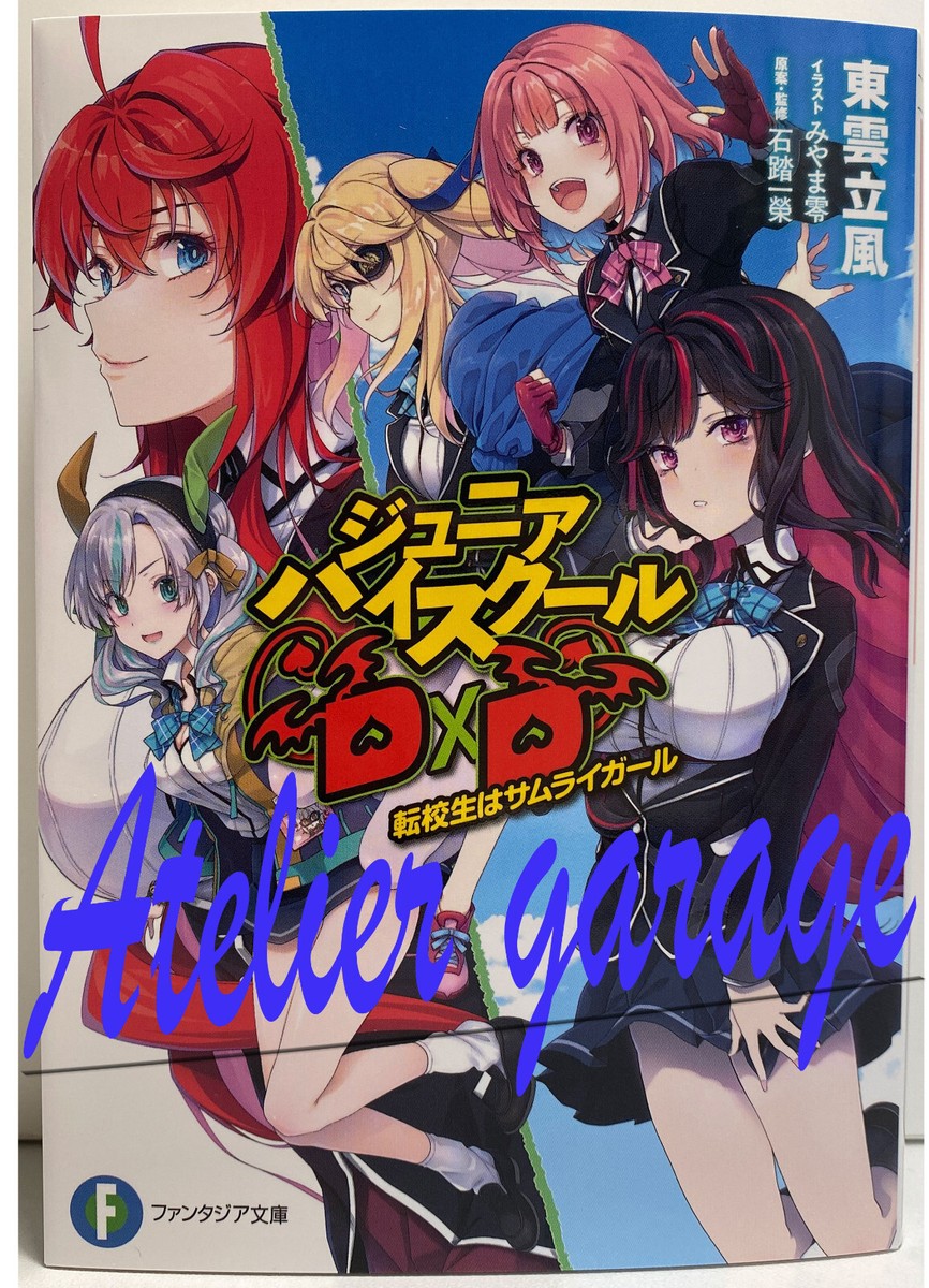 Limited High School DxD Junior High School DxD Collab Novel+Vol.1