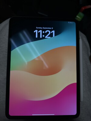 Apple iPad Pro M4. 256GB, Wi-Fi, 11in - Space Black | eBay