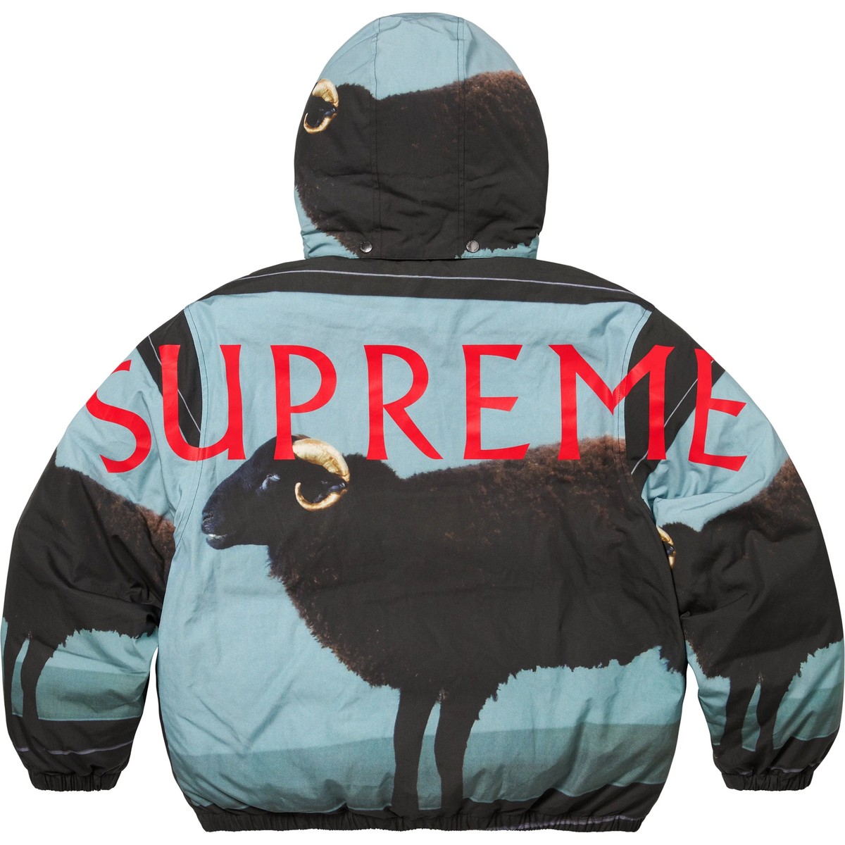 Supreme Damien Hirst Down Puffer Jacket Black | eBay
