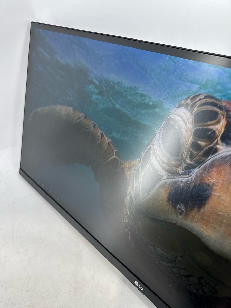 LG 34WL500-B ウルトラワイドモニター 2020年製 LGエレクトロニクス