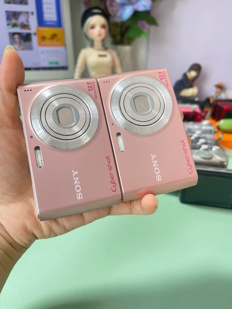 Sony Cyber-Shot DSC-W510 12.1MP 4x Zoom Compact Digital Camera