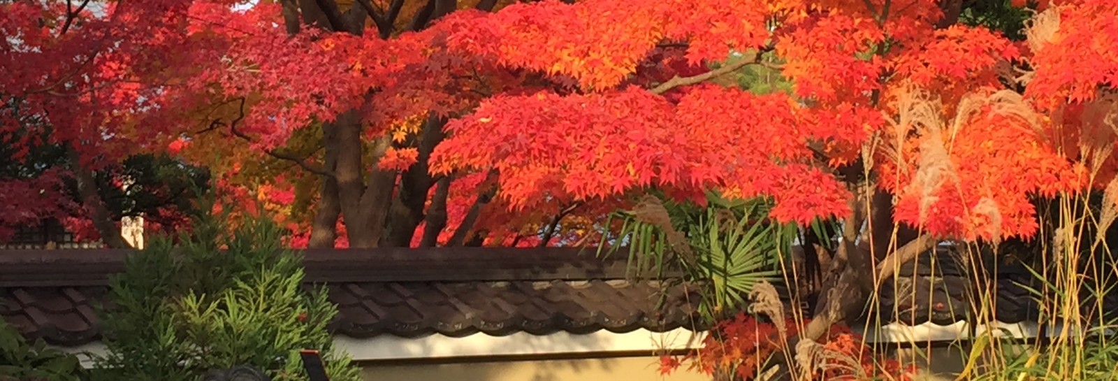 Love_kyoto1 | eBay Stores