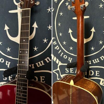 Acoustic Guitar Morris MV-701 AW Vanguard Made in Japan with Soft