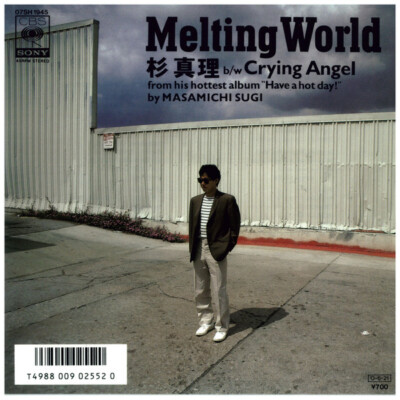 Masamichi Sugi - Melting World / VG+ / 7