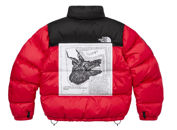 Supreme The North Face Nuptse Jacket 2024 FW Week9 Red Green Black