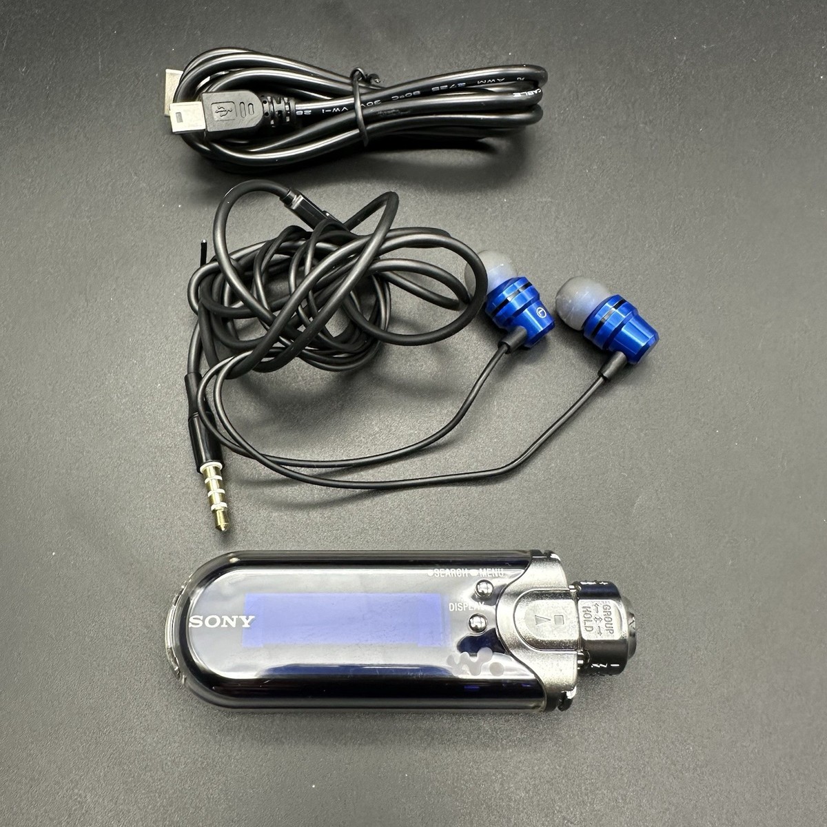 NW-E407 SONY Net Work Walkman MP3 Player 1GB Blue Fully Working | eBay