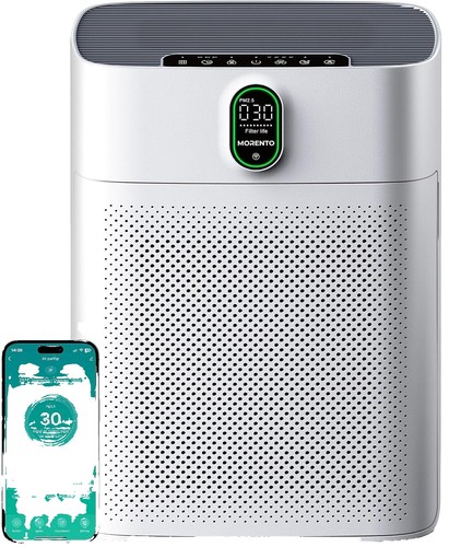 XPower FC-300S 1/4 HP 2100 CFM 14