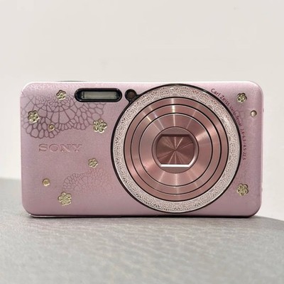 Sony Cyber Shot DSC-W570D Digital Camera 16.1 MP 5x Optical Zoom