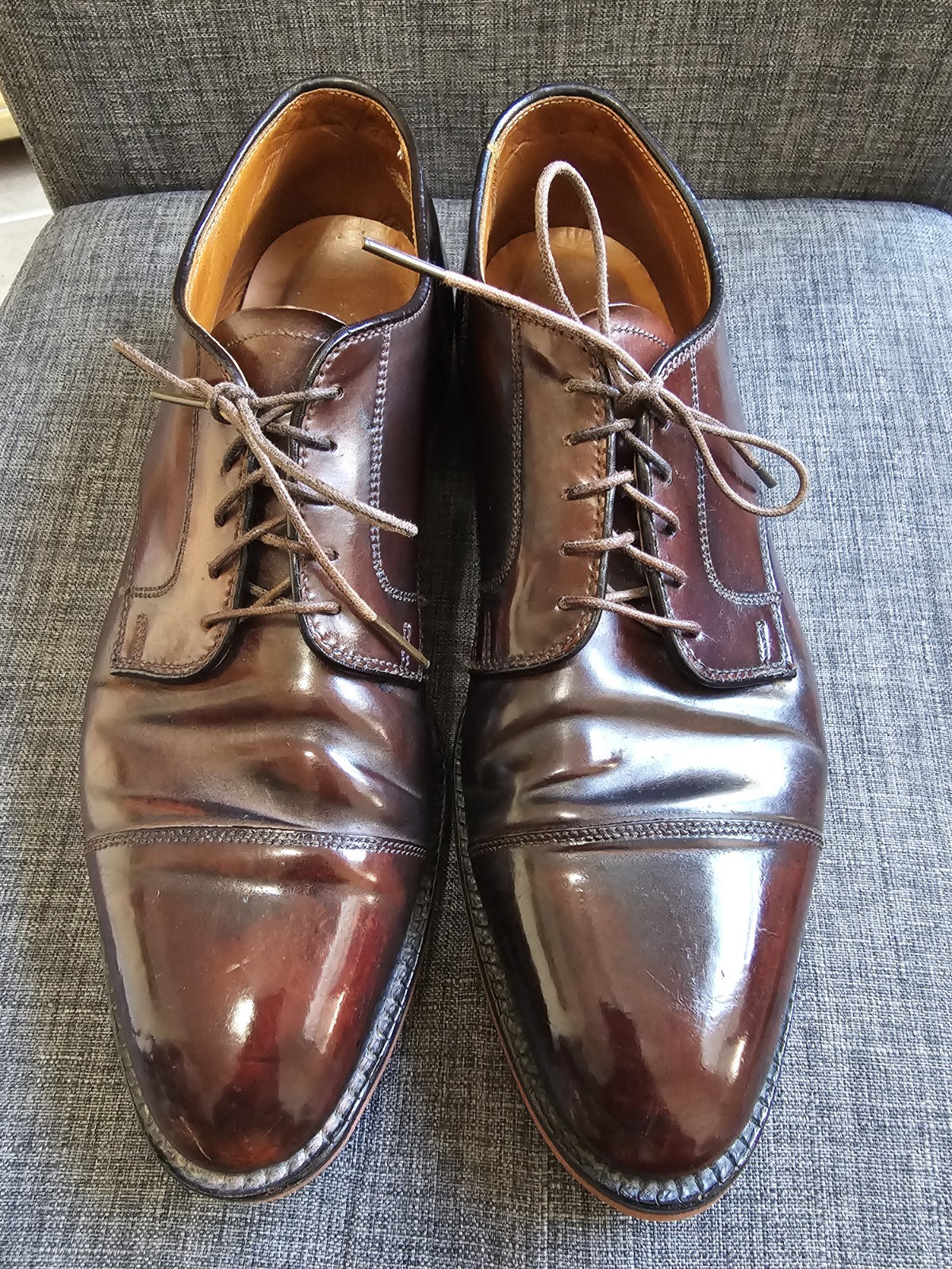 Alden 2160 Color 8 Shell Cordovan Straight Tip Blucher | Alden