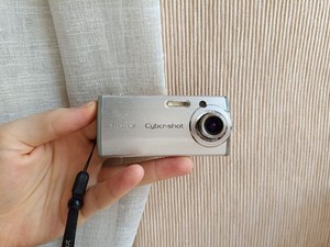 Dsc L 1 | eBay