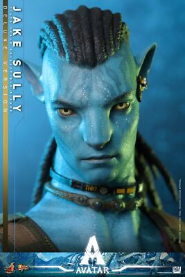 Hot Toys MMS684 Avatar: The Way of Water 1/6 Jake Sully Deluxe