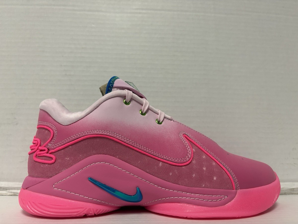 Nike Lebron XXII SN Pink Foam Photo Blue HV8455-600 Men's Size