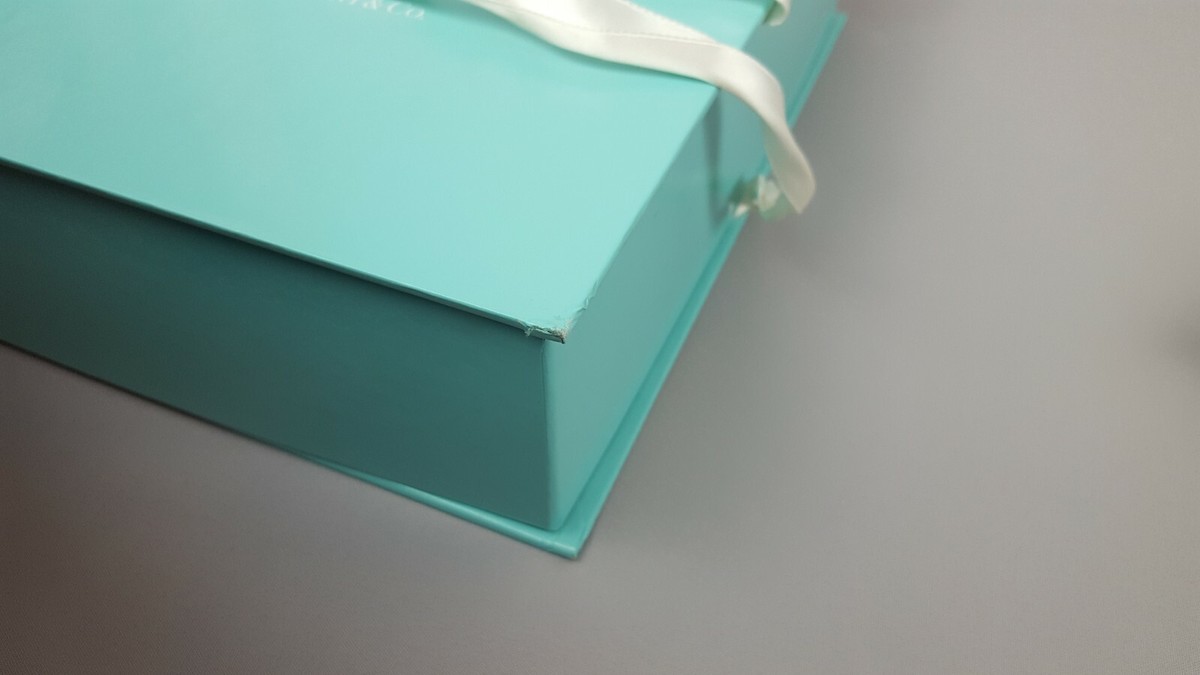 Tiffany Visionaire 38 LOVE Limited Edition Book Collectible | eBay