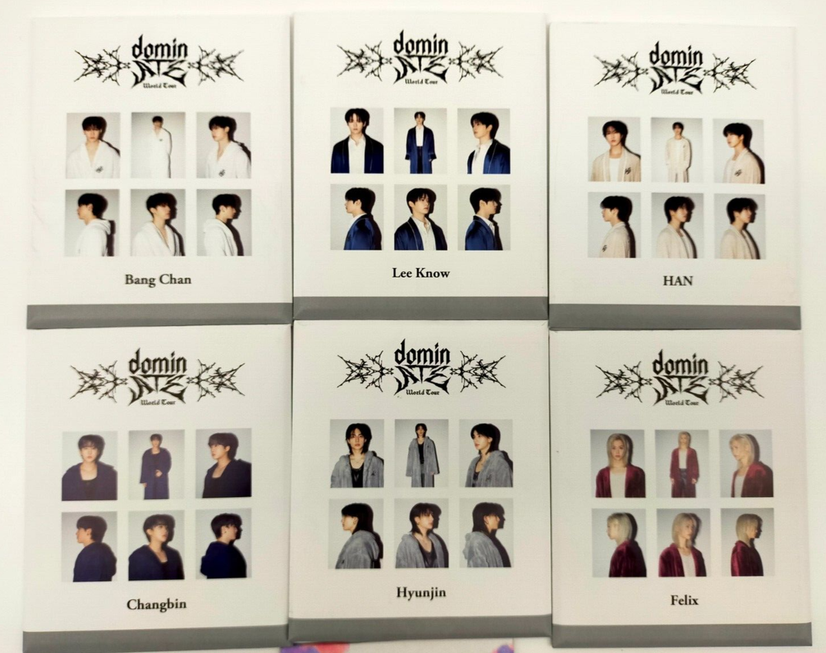 Stray Kids INSTANT PHOTO SET (6PIECES) 6 kinds dominATE JAPAN