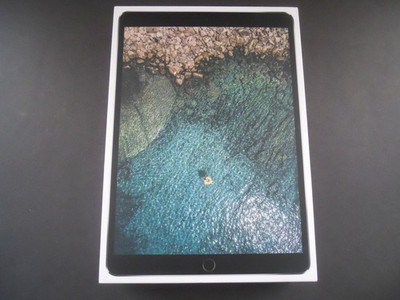 Apple 1st Gen iPad Pro 10.5