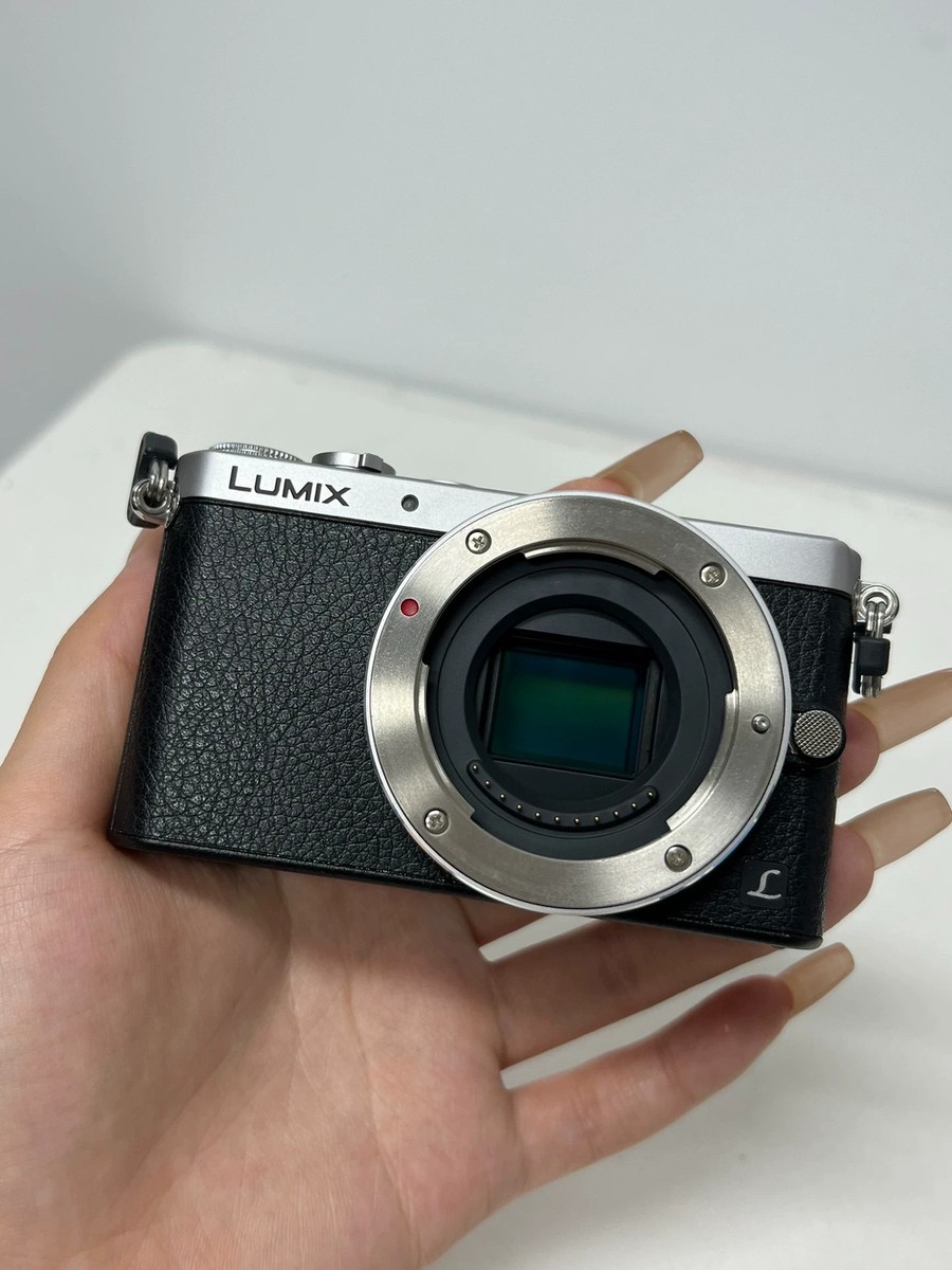 Panasonic LUMIX DMC-GM1 16.0MP Digital Camera Body 90%new | eBay