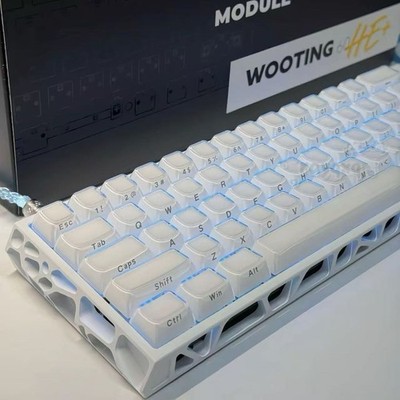 Fully Customized Wooting 60 HE (Contact for further