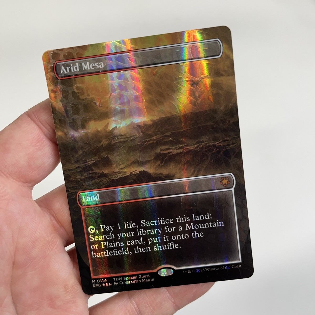 Arid Mesa (Borderless) (Dragonscale Foil) Special Guests Foil NM