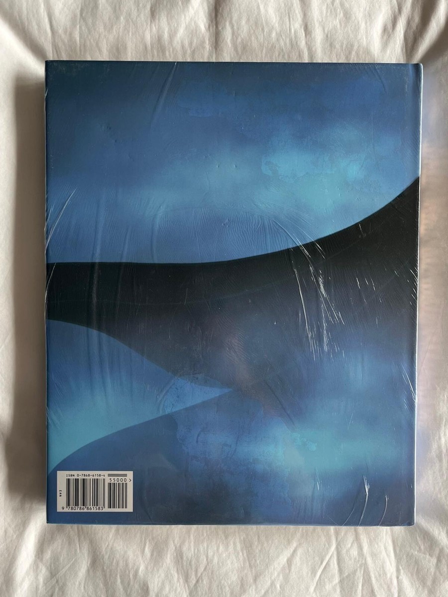 Art of Pocahontas by Stephen Rebello (1995, Hardcover) for sale