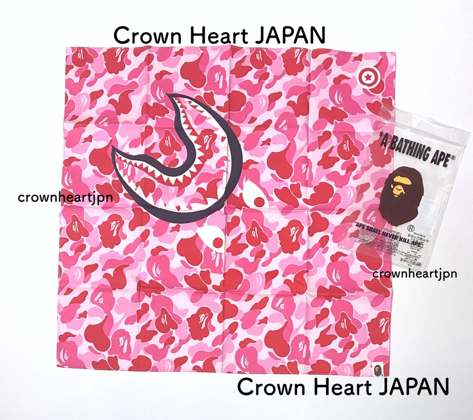 $_57.JPG?set_id=880000500F