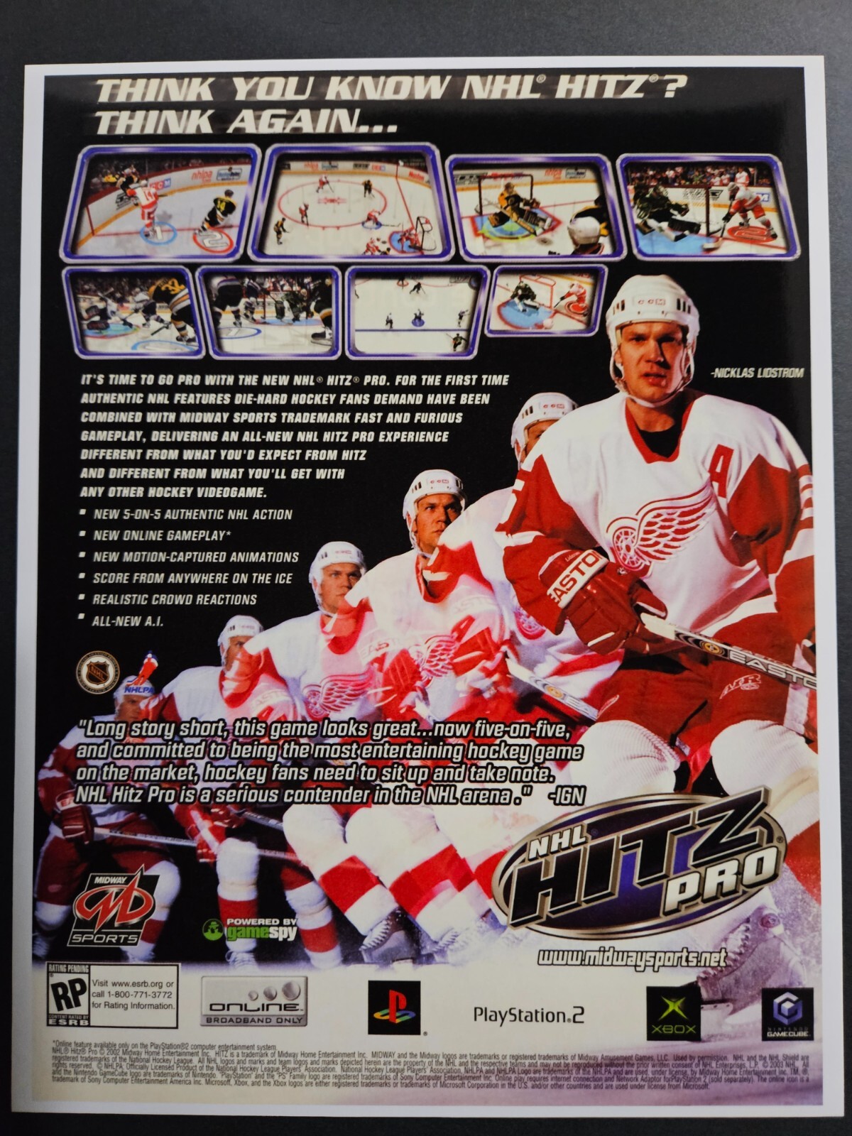NHL Hitz Pro Playstation 2 PS2 Xbox GameCube Promo Ad Art Print