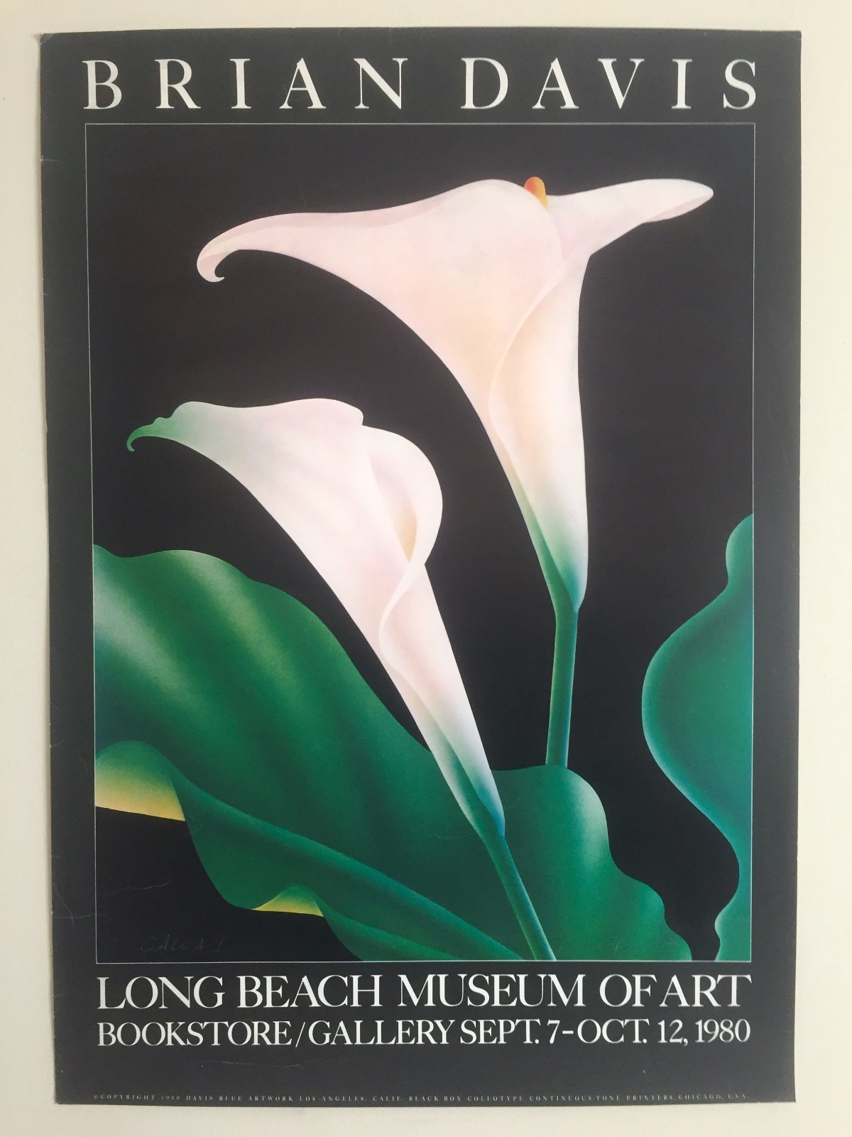 $_57.JPG?set_id=8800005007