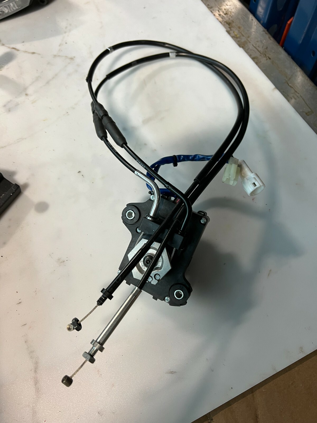 $_57.JPG?set_id=8800005007