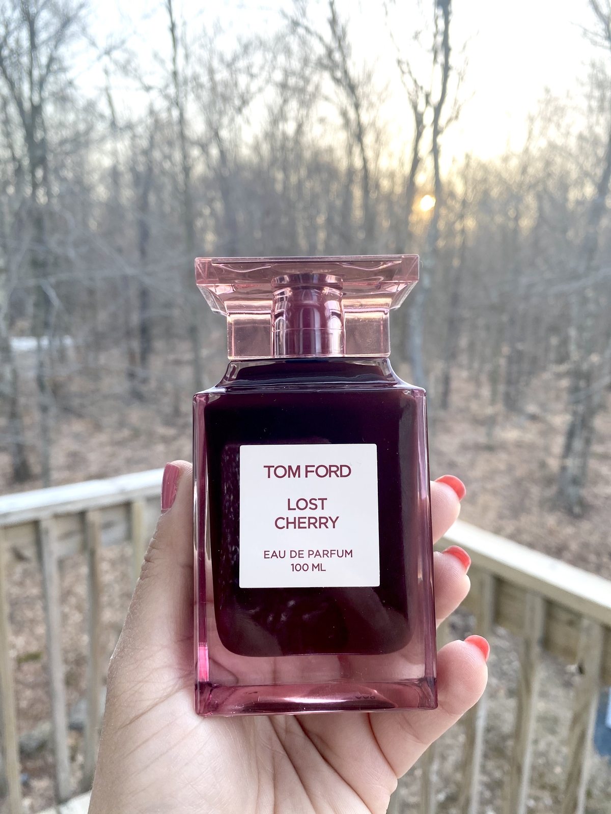 Brand New, Sealed Tom Ford Lost Cherry Eau De Parfum 3.4 Oz, 100ml