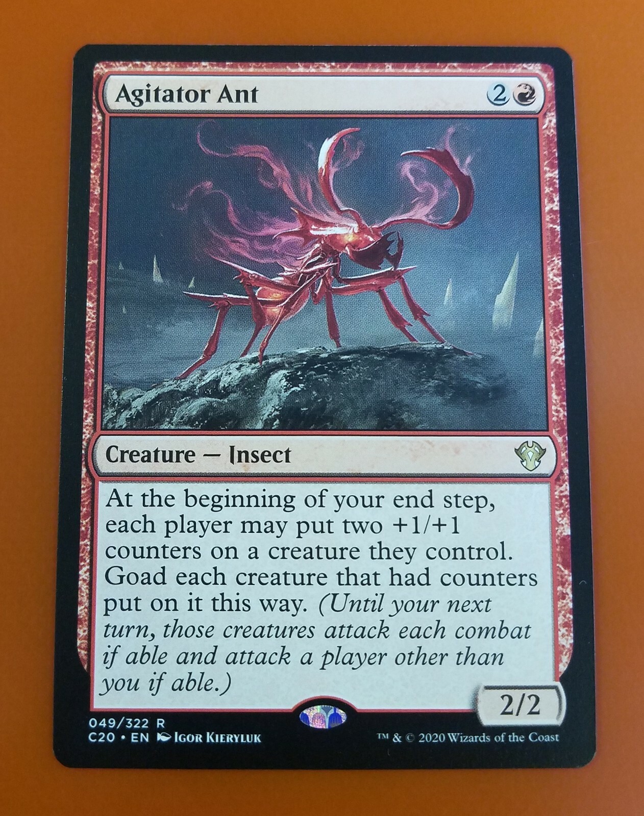 $_57.JPG?set_id=8800005007