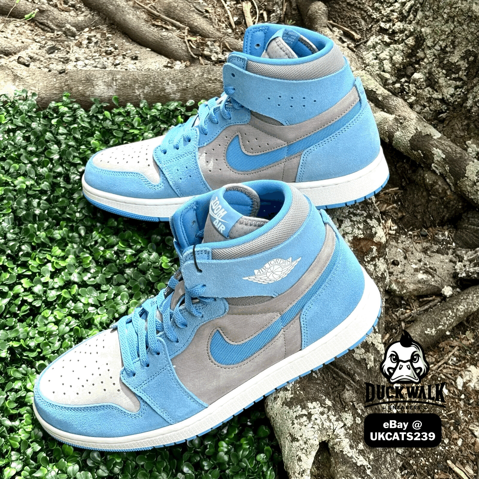 $_57.JPG?set_id=8800005007