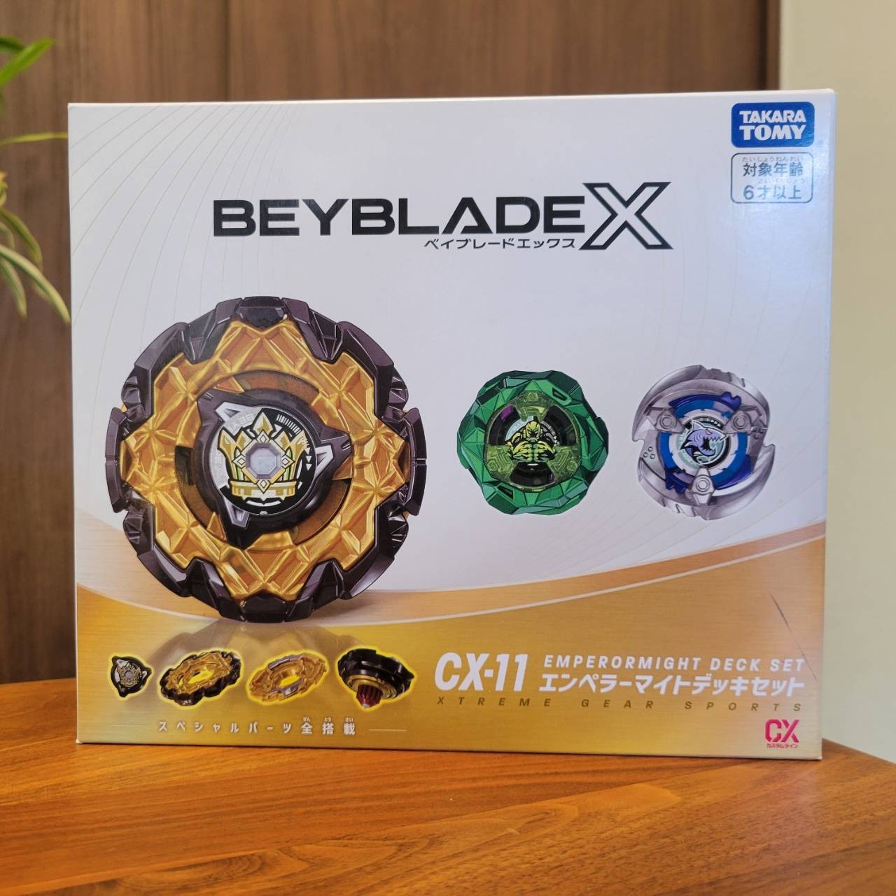 ⑪引退 火 文明 セット ⑪引退 火 文明 セット ⑪引退 火 文明 セット