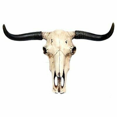 PSA10】108フラワーズ Skull Face PSA10】108フラワーズ Skull Face