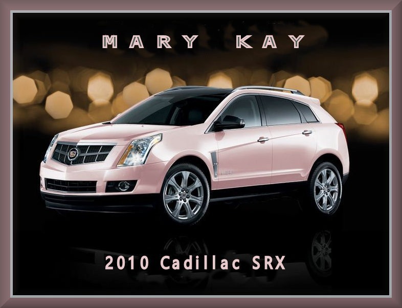 2010 Cadillac SRX - MARY KAY PINK, Toolbox - Refrigerator Magnet