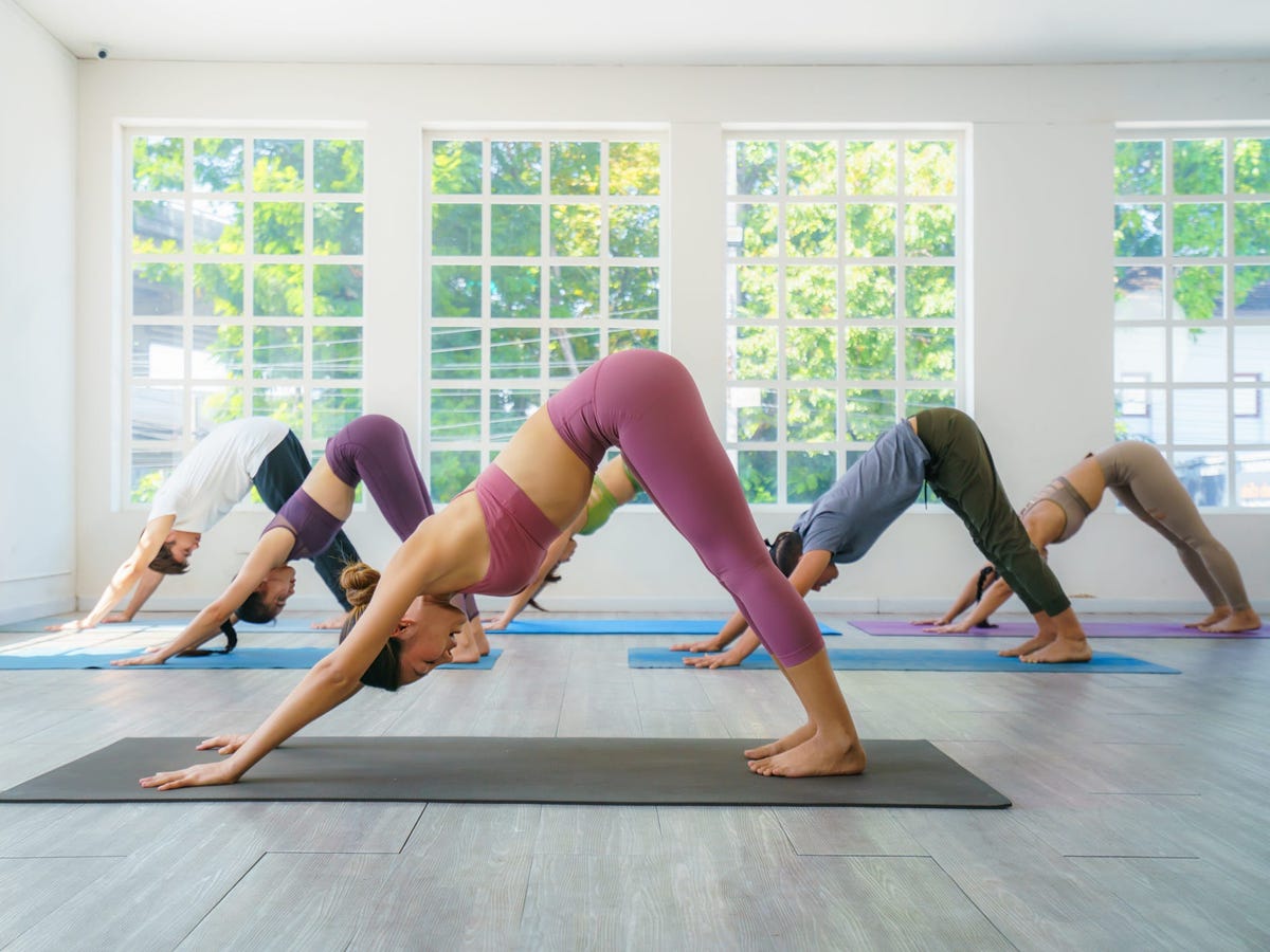 612fe6029ef1e50018f9495f?width