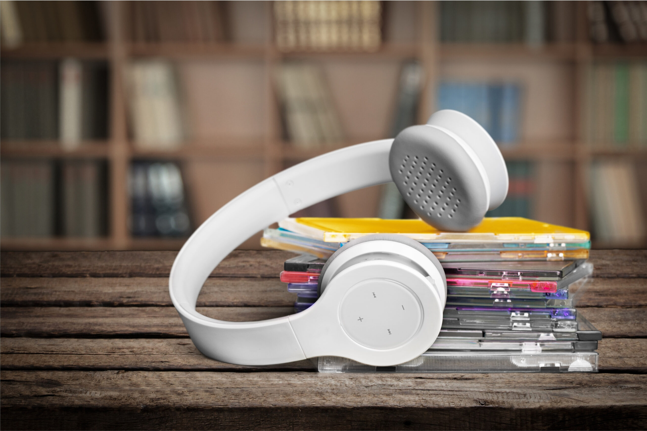 赤い華、錦城 薫、避暑地の猫、主題歌 | HIFUMIYO TIMES