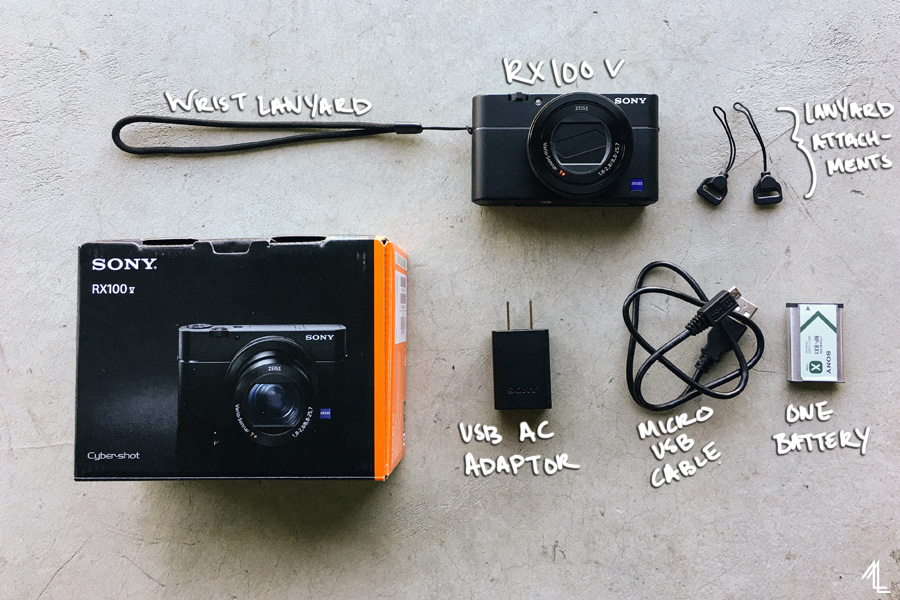 Sony RX100 V Review - Melly Lee Blog