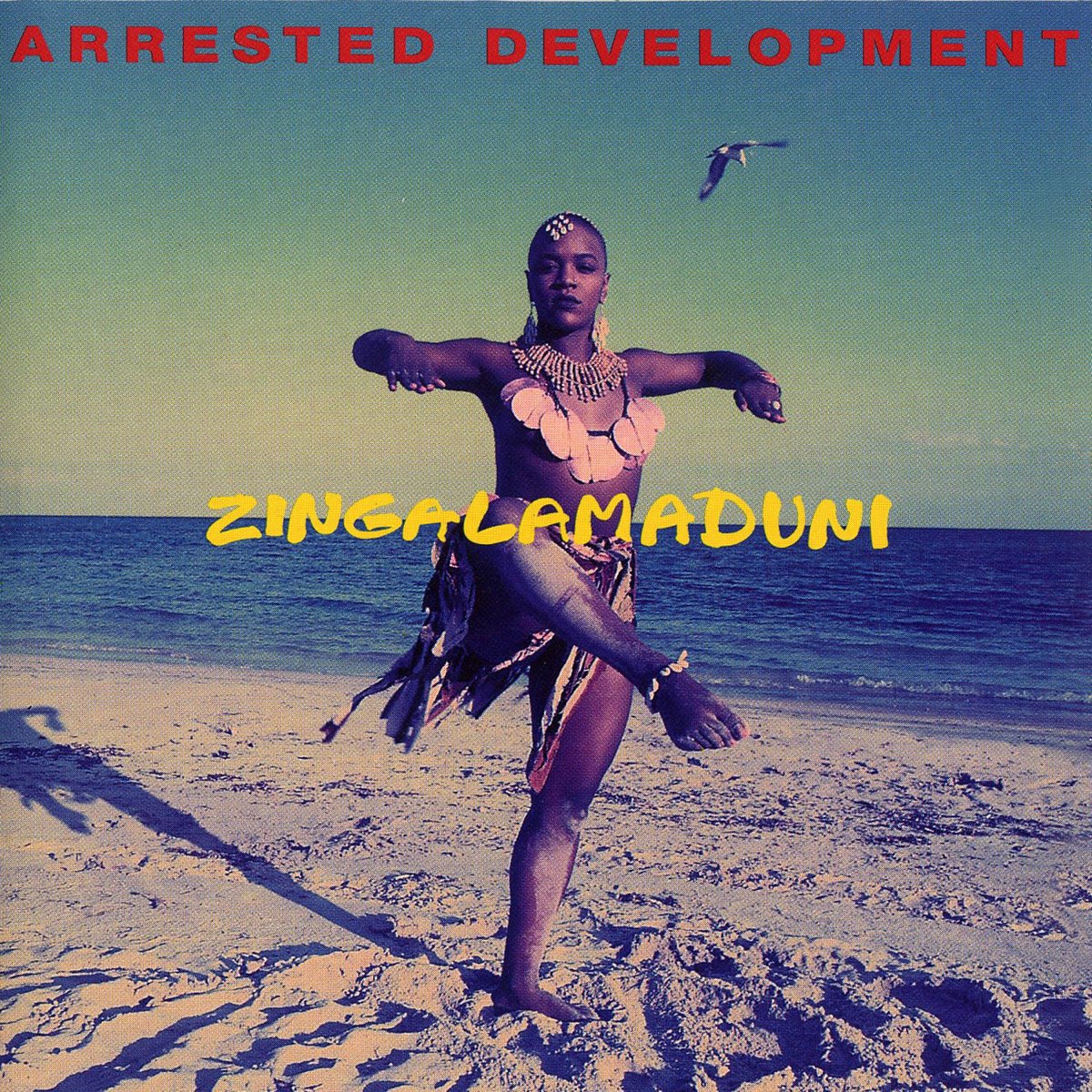 30thAnniversary – Arrested Development “Zingalamaduni” – Brooklyn