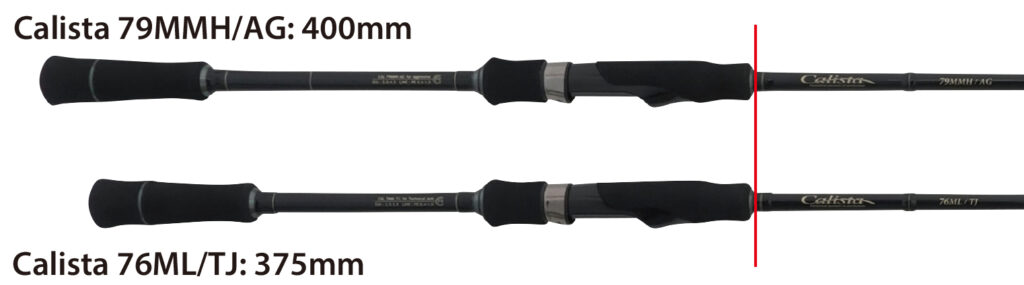 春イカ”こそ”ショートロッドを選ぶ理由 | 釣りの総合ニュースサイト