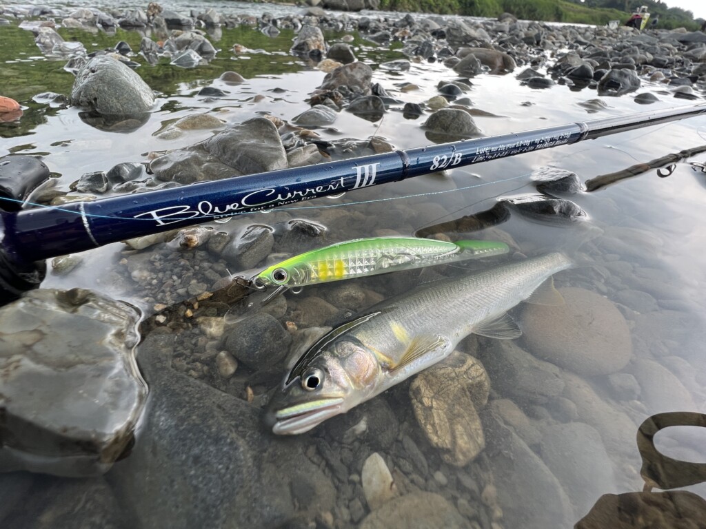 このロッドは罪深い。何でもでき過ぎるヤマガブランクスのブルー
