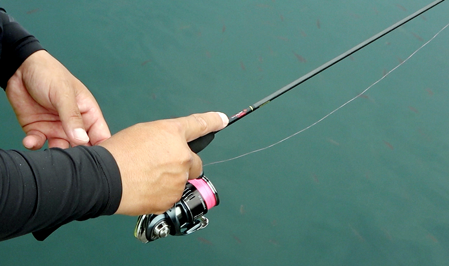 月下美人EX・57UL-T ～燕(EN)～】タクトのように操り、強烈なバイト