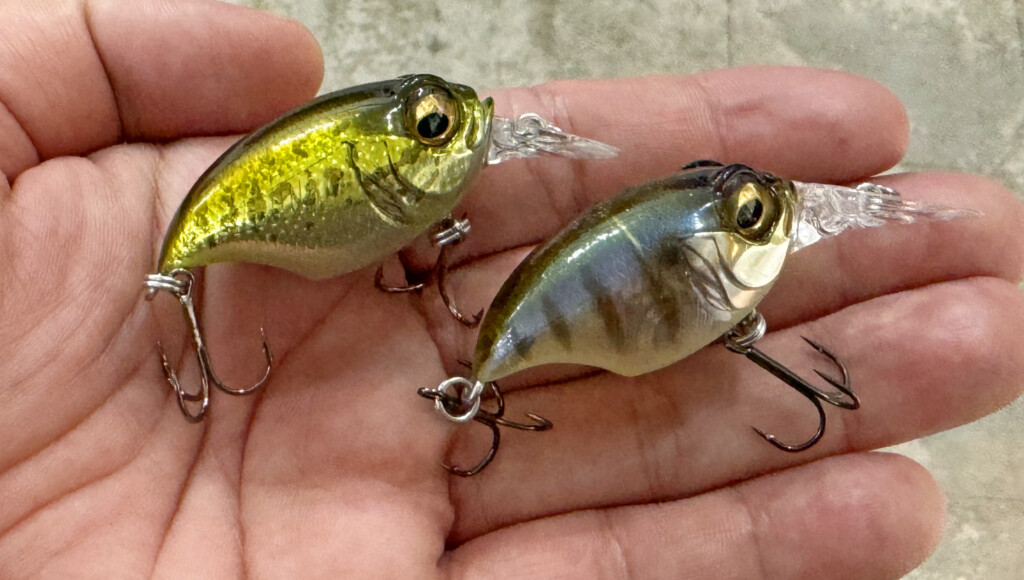 メガバスの2024年新製品バス釣りルアー15個ほどを一挙紹介【I×I第3弾