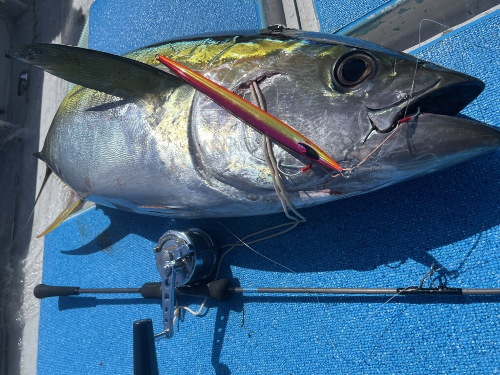 ちょっと長めでもっとスローが得意なジギングロッド。「ホライゾンMJ