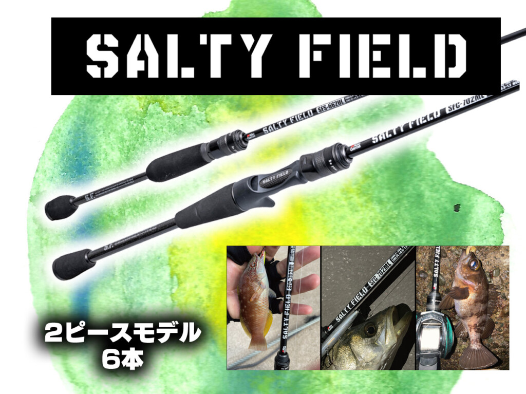 エントリーロッドとして人気のAbuGarcia「ソルティーフィールド」に