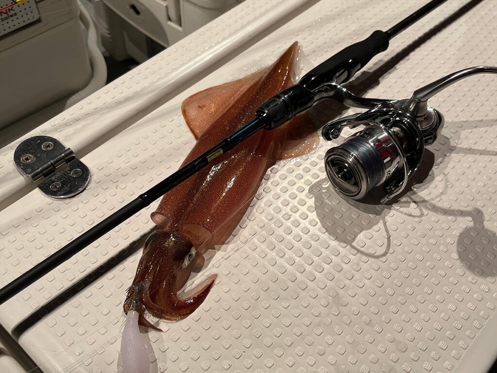 ダイワイカメタルロッド初の“グラスソリッド穂先”採用。その先を越えて