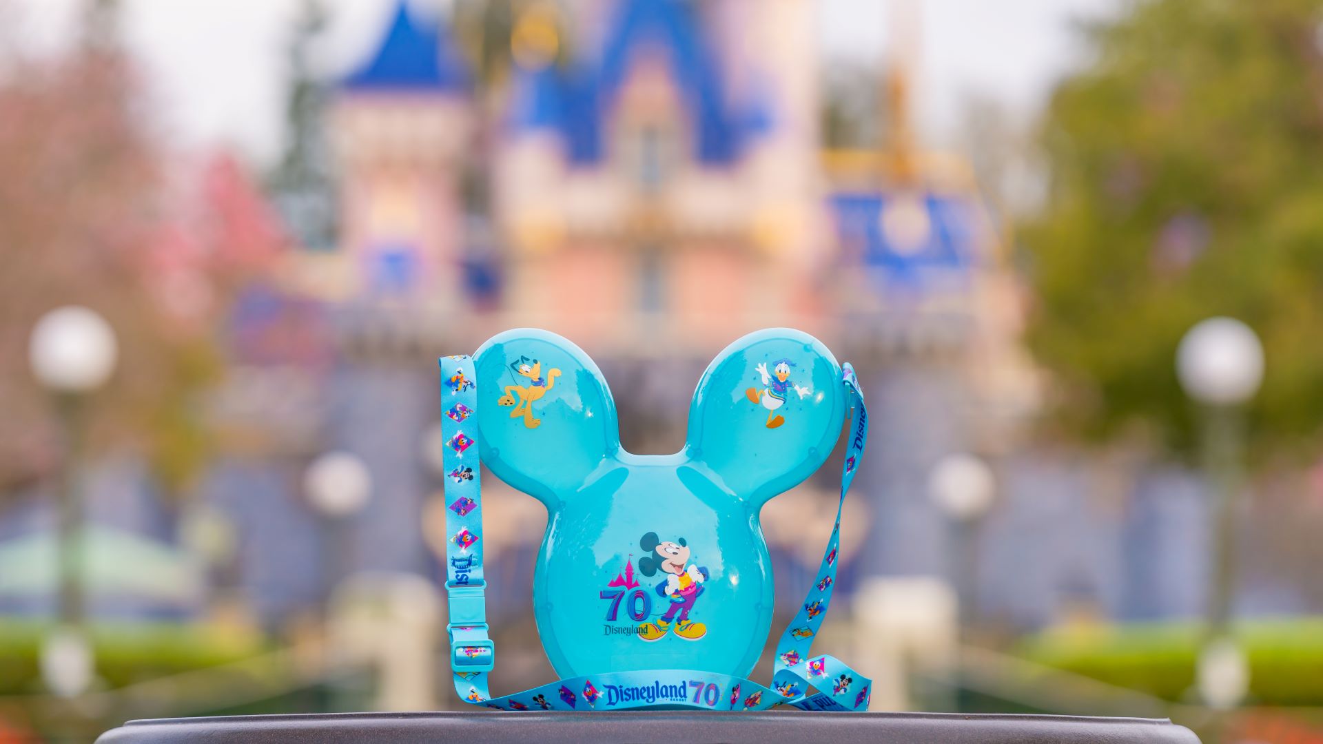 DLR70】ディズニーランド・リゾート 70周年記念 ポップコーンバケット