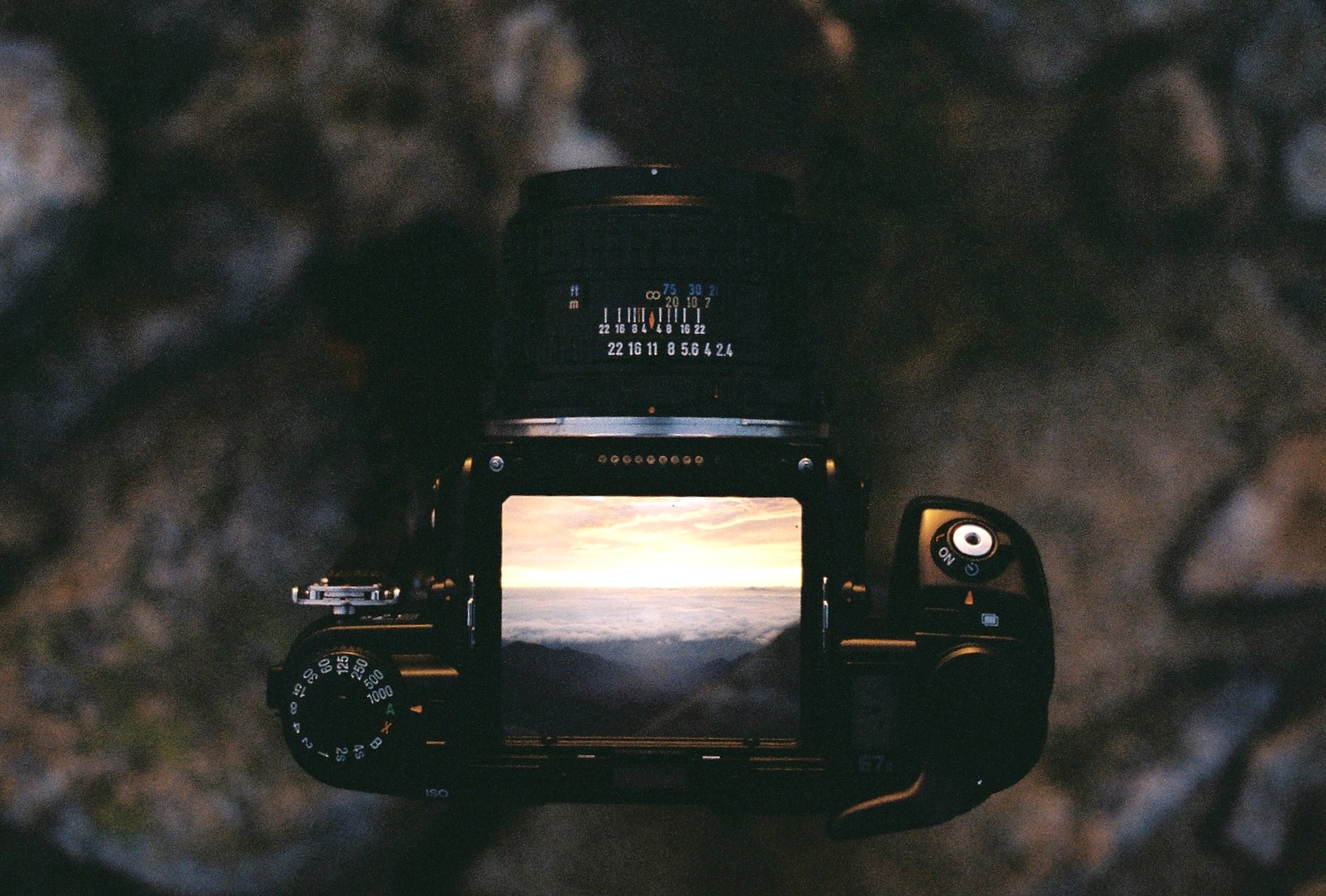 作例レビュー】Nikon F3｜ニコンのカメラ｜#わたしのカメラ｜vol.092