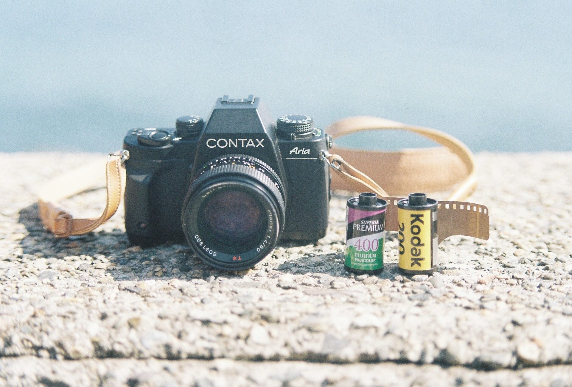 作例レビュー】CONTAX Aria｜コンタックスのカメラ｜#わたしのカメラ