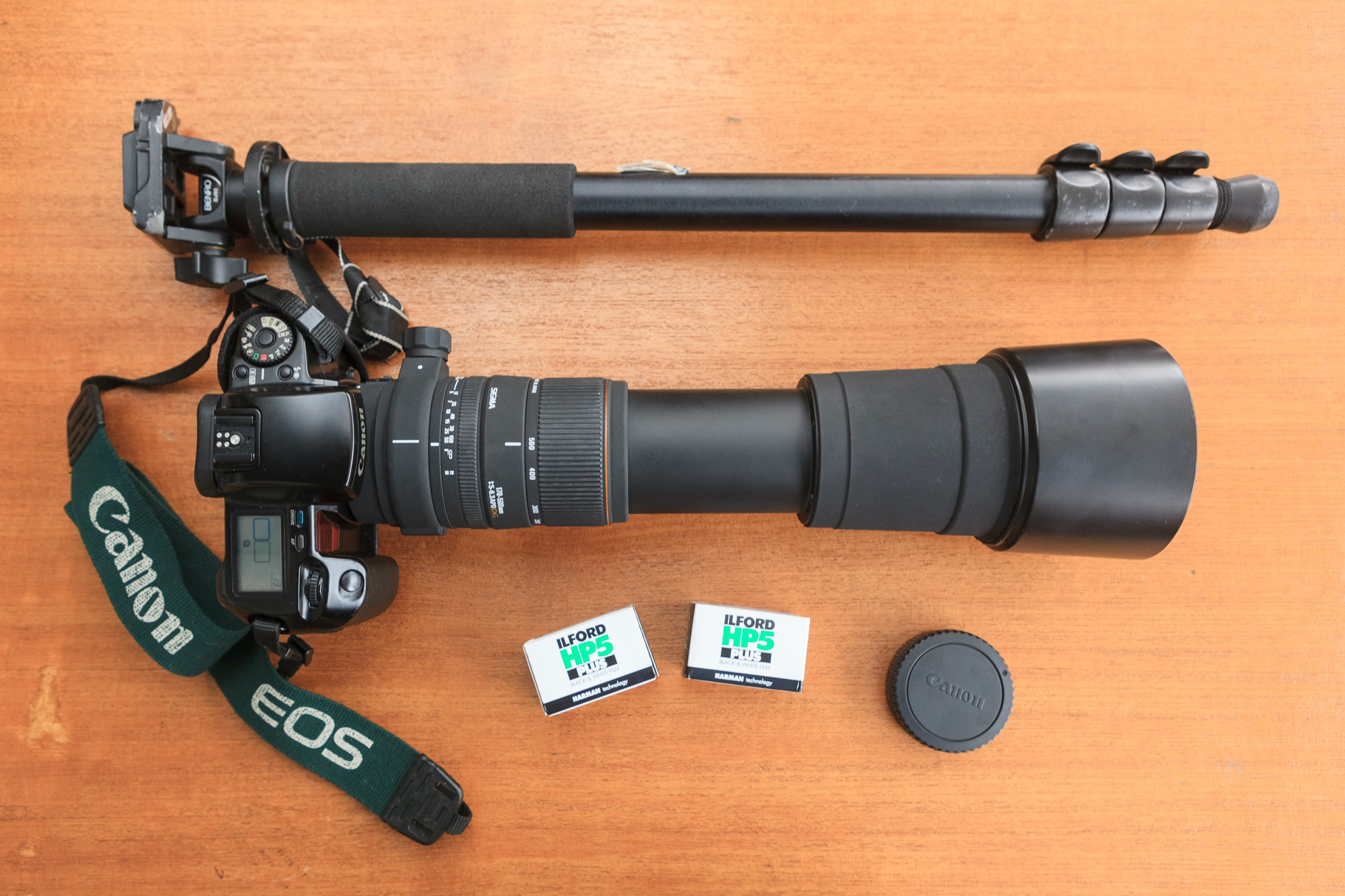 Sigma 170-500mm f5-6.3 APO DG – Film Love Photography