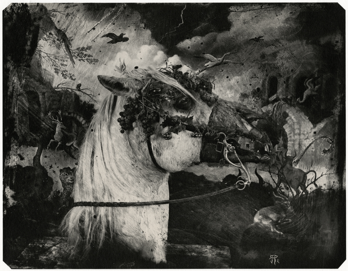 Joel-Peter Witkin | Fraenkel Gallery